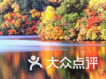 2023年云南地方一般公共预算收入完成2149.4亿元