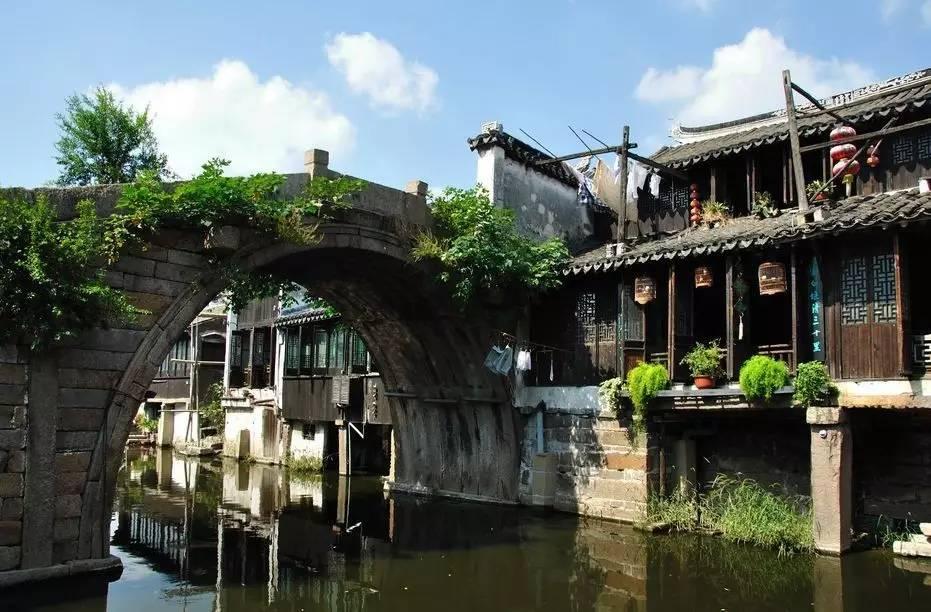 动物帮帮忙保卫家园